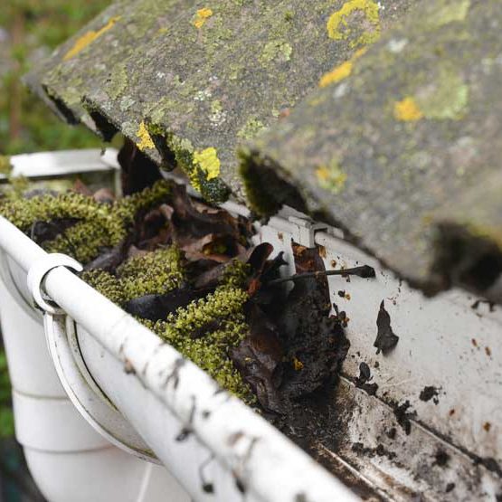 Gutter Cleaning